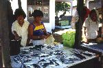 Fischmarkt auf Siau (26 kB)