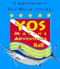 Yos Marine Adventure - Bali
